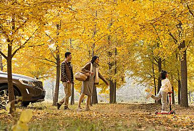 乐队管理游戏《Rockbeasts》公布最新实机预告片